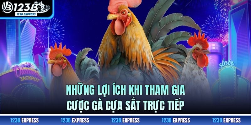 Những lợi ích khi tham gia cược gà cựa sắt trực tiếp